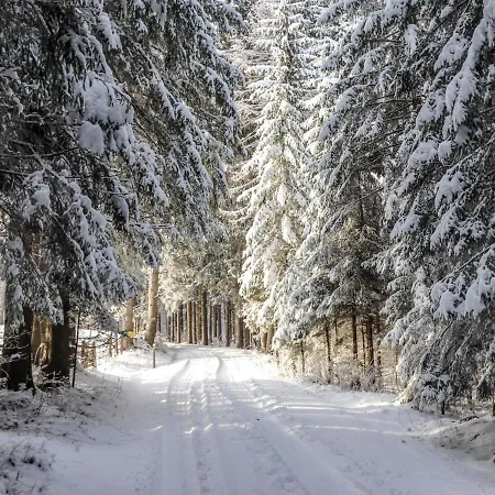 בית נופש Schoenhart By Interhome *