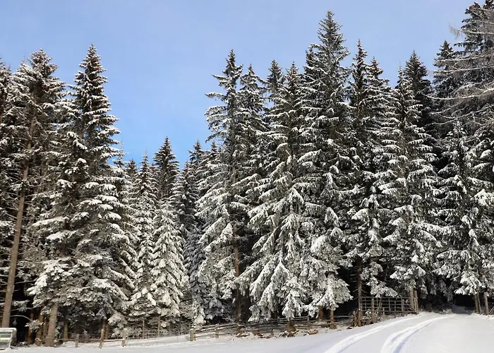 בית נופש Schoenhart By Interhome