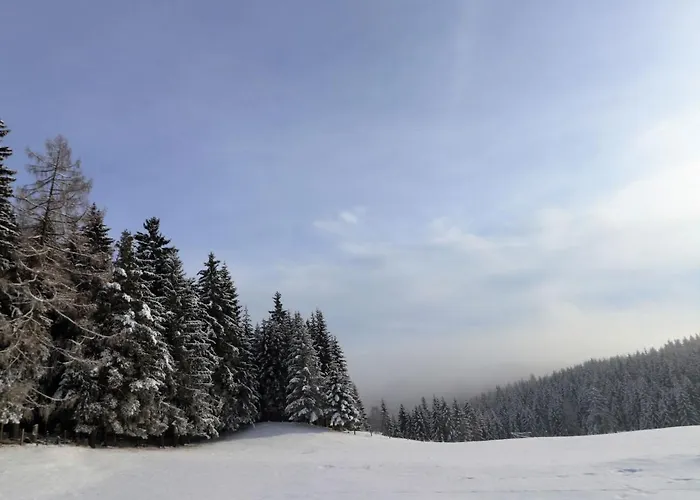 Schoenhart By Interhome * Lippbauer