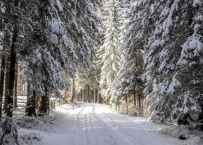 בית נופש Schoenhart By Interhome *